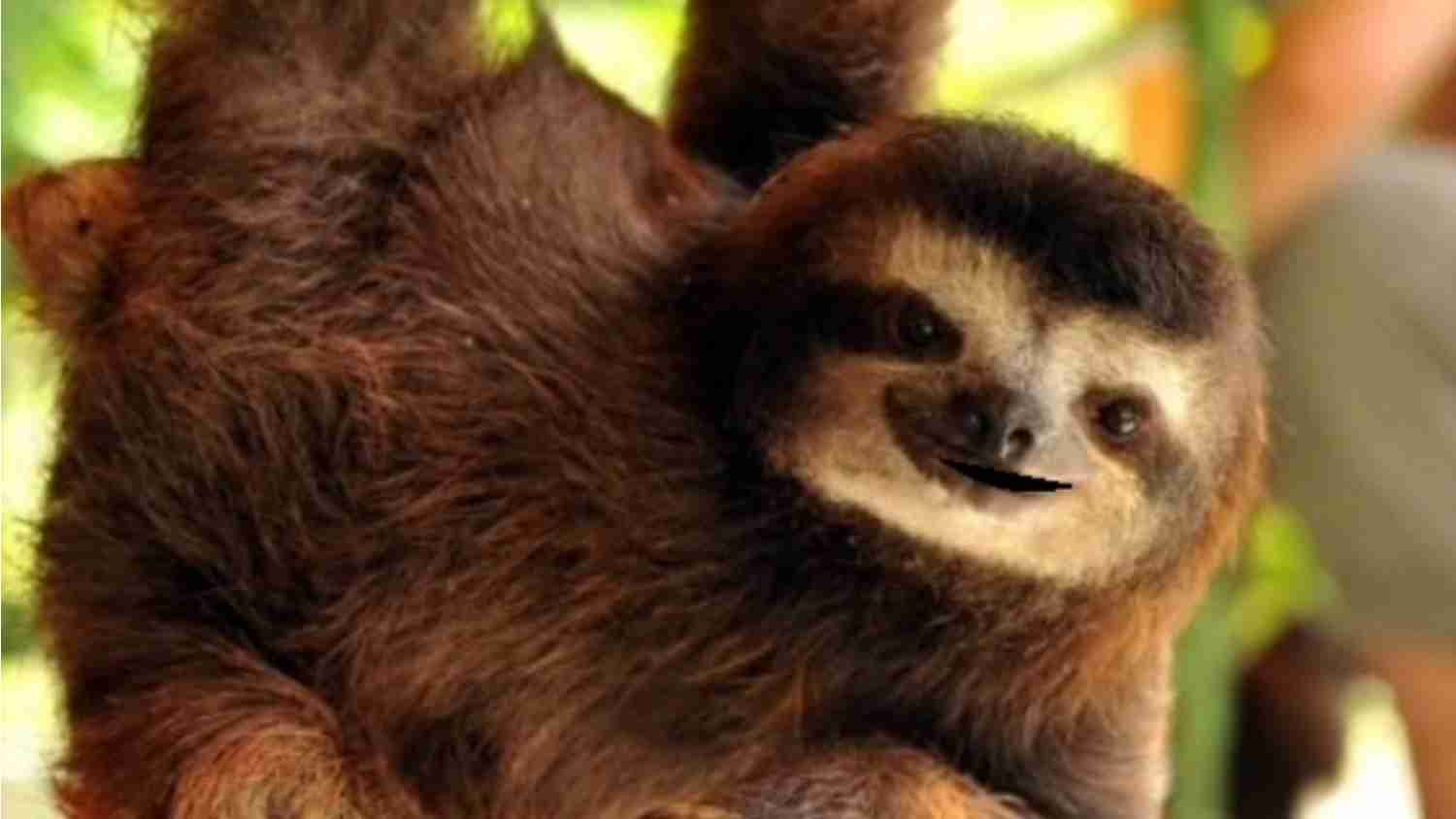 Auxiliar de Conversación 2 Parte